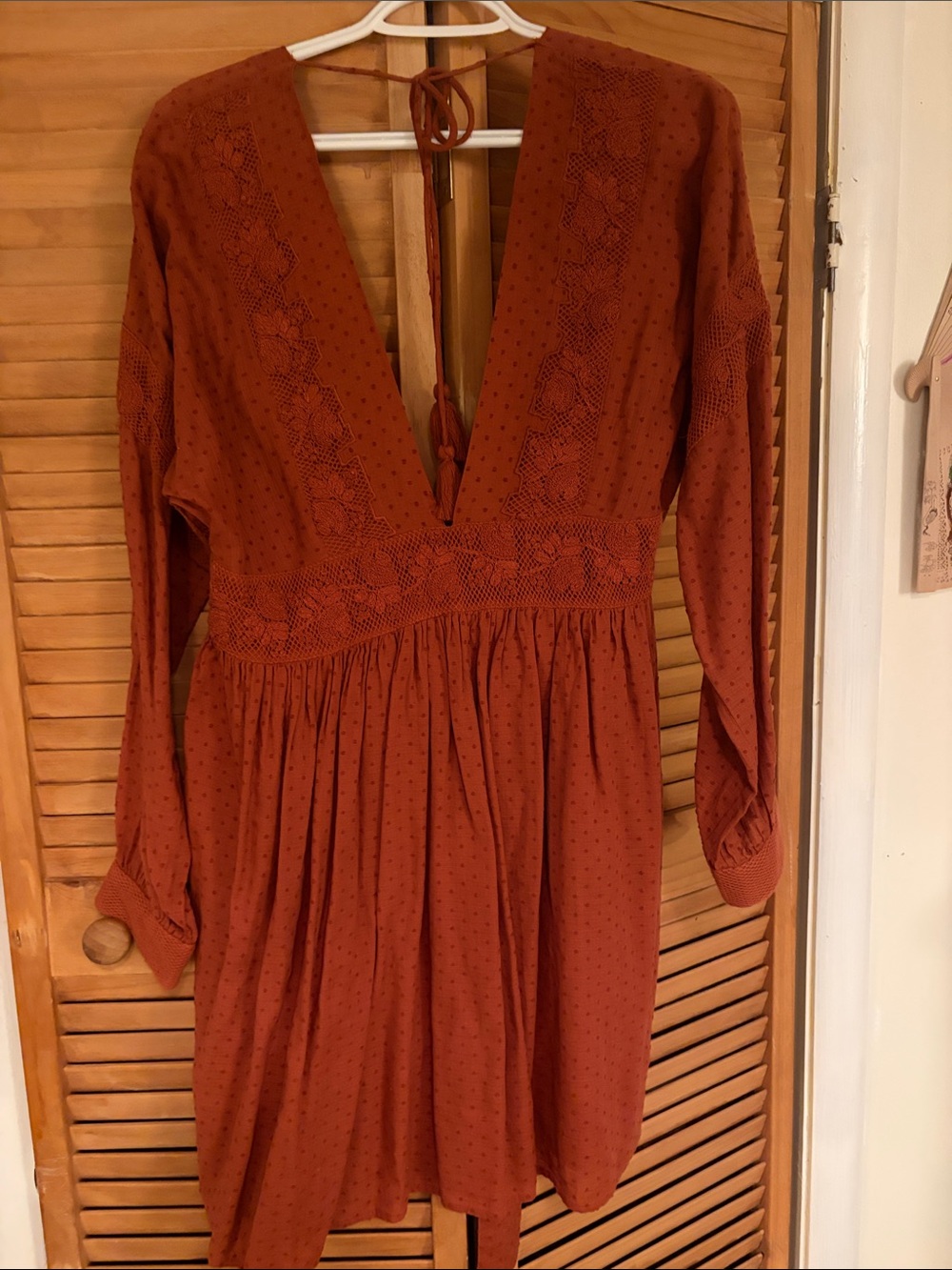 Free People Rust Orange Deep V Long-Sleeve Mini Dress